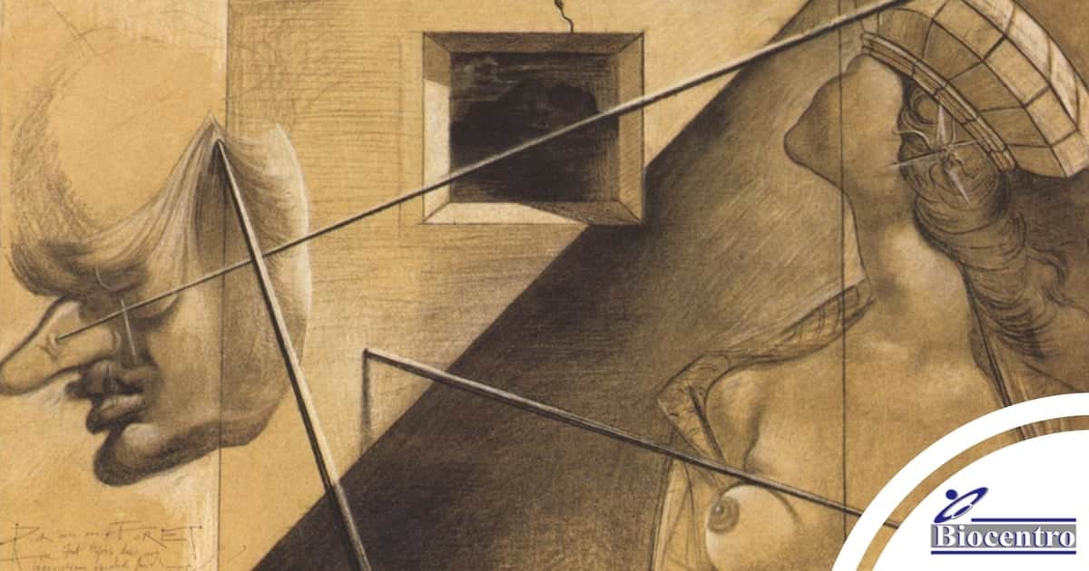 Um corpo sexual (zonas erógenas) 3 Um corpo sexual - Psicanalise em Curitiba - Biocentro