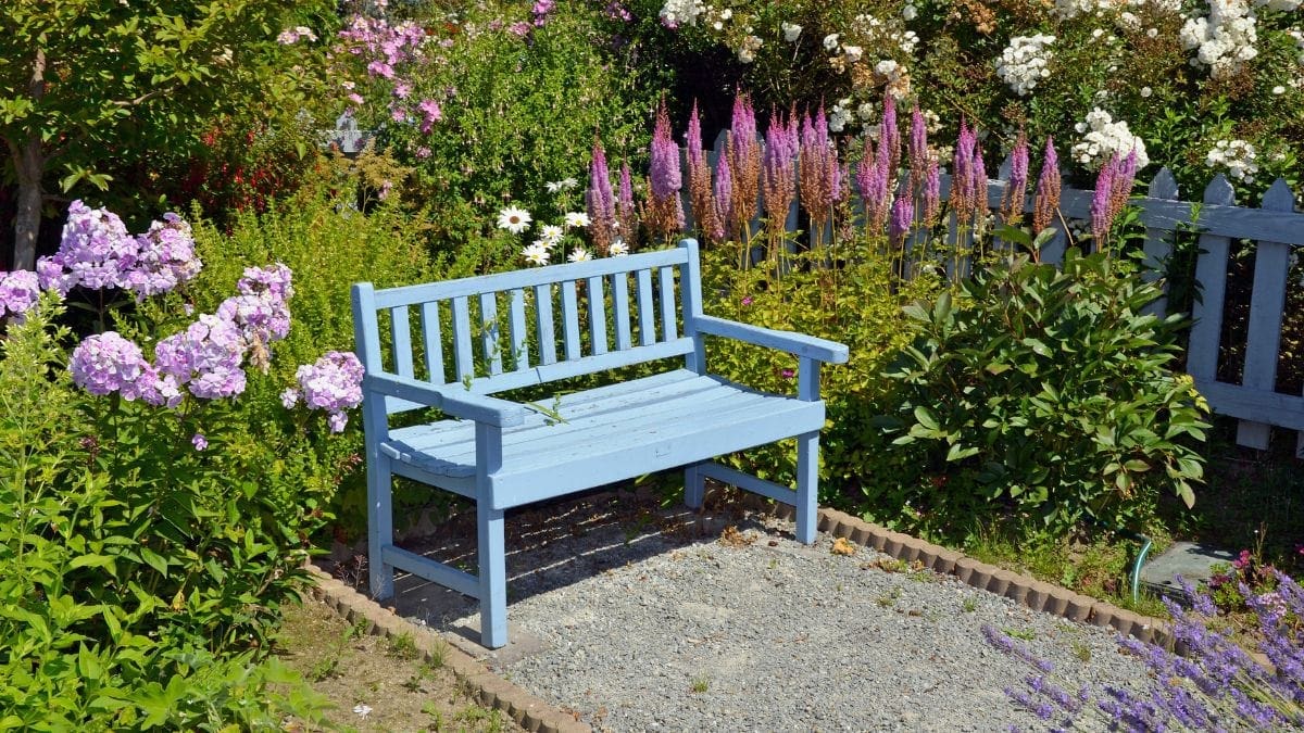 Uma nota sobre o jogo Baleia Azul - Suicídio - Célio Pinheiro