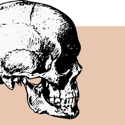 Relação com a morte | Psicanálise - Ossos, Crânio, Caveira